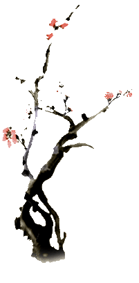 ��ȥ����� ȥ����༭ȿ�� ȥ����༭����